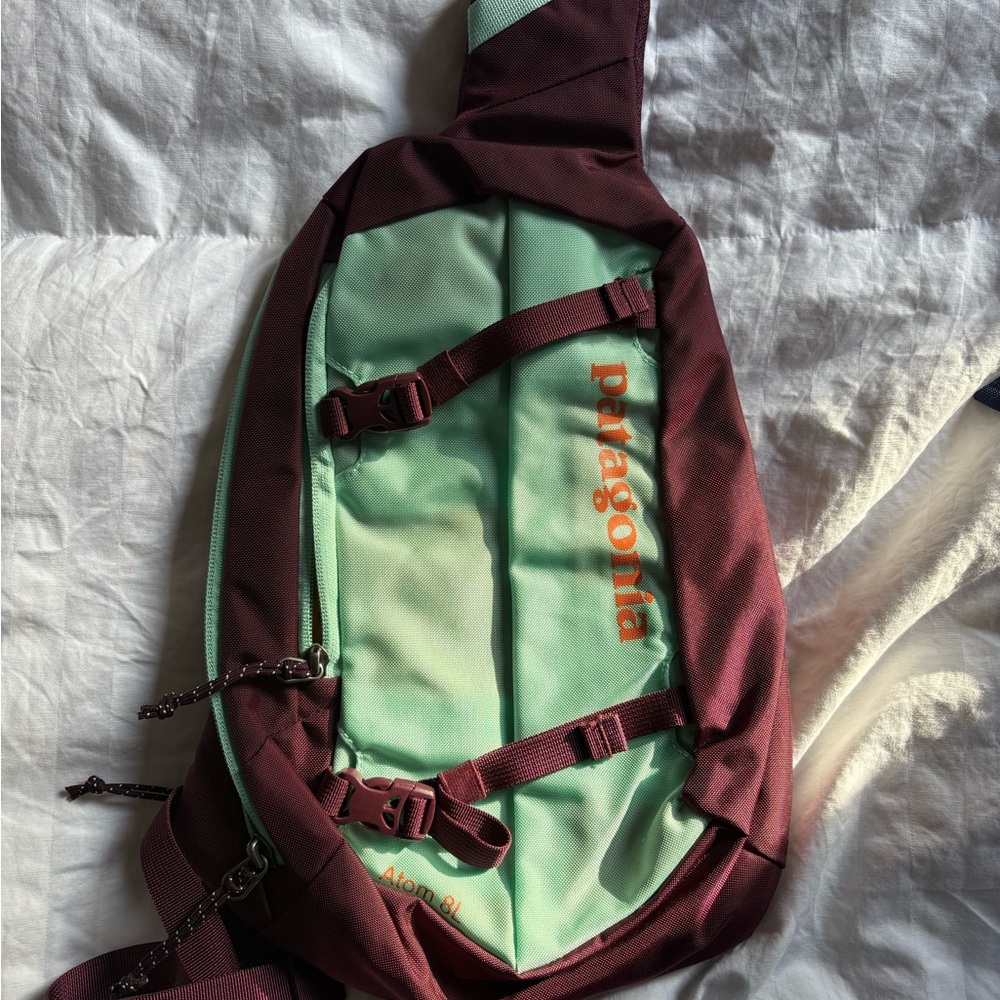 Patagonia Mint and Burgundy Sling Bag